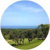 Image for Golf Club Punta Ala course